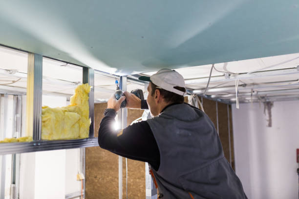 Insulation Contractors for Homes in New Berlin, IL